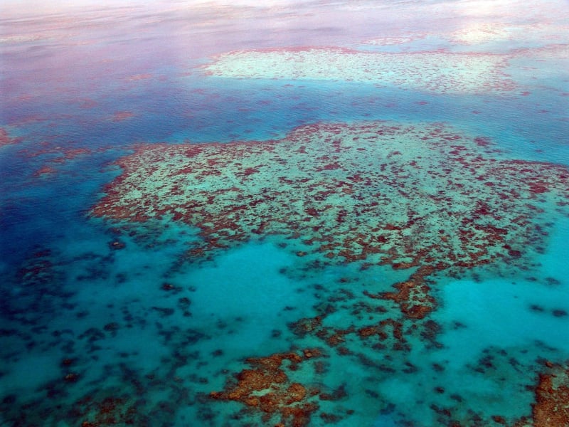 Diving in the Great Barrier Reef
